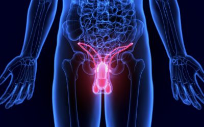 Vasectomie : où en est-on aujourd’hui ?