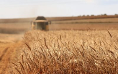 Retour à l’emploi et agriculture au cœur d’un projet solidaire