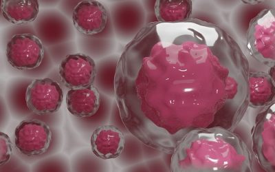 C’est l’hiver : comment faire pour renforcer votre immunité ?