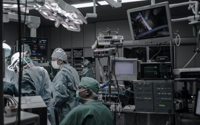 Xénogreffe : un cœur de porc transplanté sur un humain, un espoir pour les malades en attente de greffe