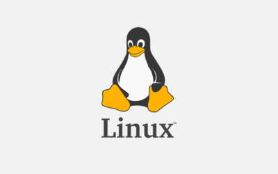 Tout savoir sur la distribution Linux