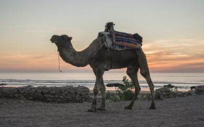 3 plages au Maroc à ne pas manquer