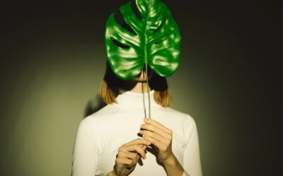 Culture et transition écologique : un nouveau rôle pour le mécénat